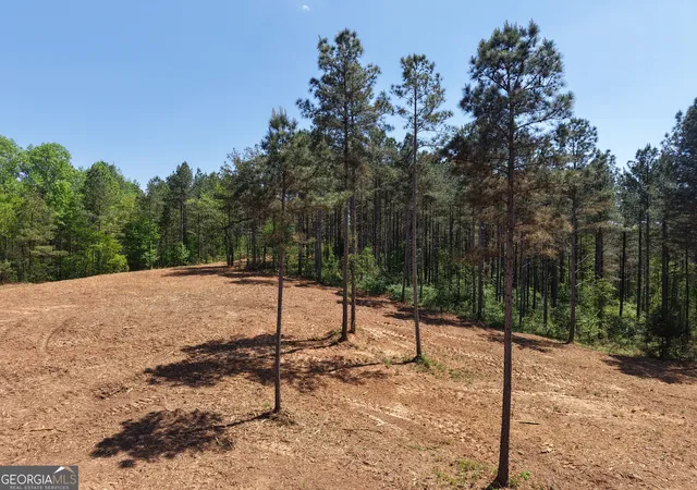 Homes for sale in Fairmount, GA | 0 Ryo Mountain Rd #9609, Fairmount, GA 30139 | MLS# 20087371