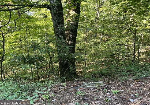 5th image of 0 Tuckaway Ln, Clayton, GA 30525 | MLS# 10607990