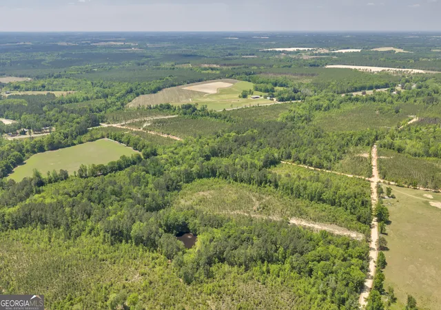 3rd image of 29 Graham Ln, Cadwell, GA 31009 | MLS# 10777727