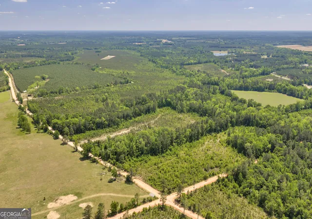 8th image of 29 Graham Ln, Cadwell, GA 31009 | MLS# 10777727