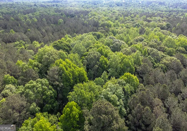 18th image of N Of 428 Padgett Rd, Senoia, GA 30276 | MLS# 10791997