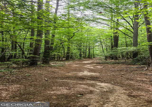1st image of N Of 428 Padgett Rd, Senoia, GA 30276 | MLS# 10791997
