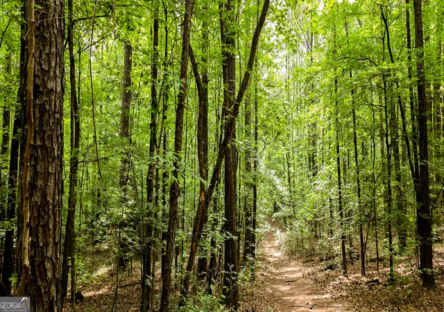 2nd image of N Of 428 Padgett Rd, Senoia, GA 30276 | MLS# 10791997