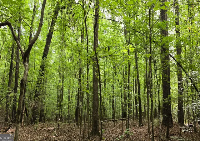 Photo 3 of Land for sale at N Of 428 Padgett Rd, Senoia, GA 30276 | MLS# 10791997 | Listing updated on 2026-09-13
