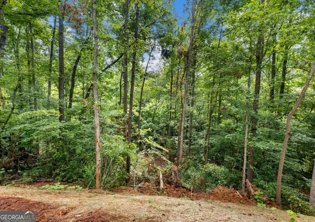 44th image of 5377 Stillwater Ln, Braselton, GA 30517 | MLS# 10801563