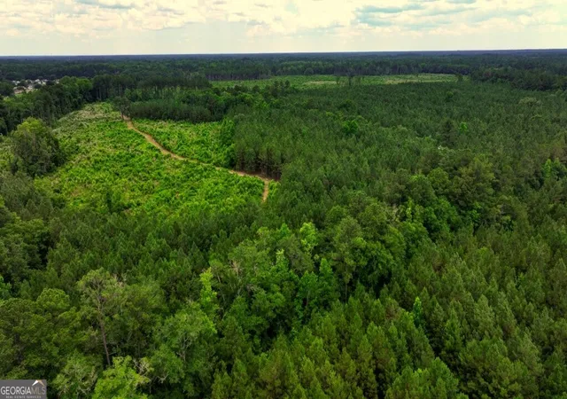 3rd image of 0 Hwy 204 & Carlos Cowart Rd, Pembroke, GA 31321 | MLS# 10786364
