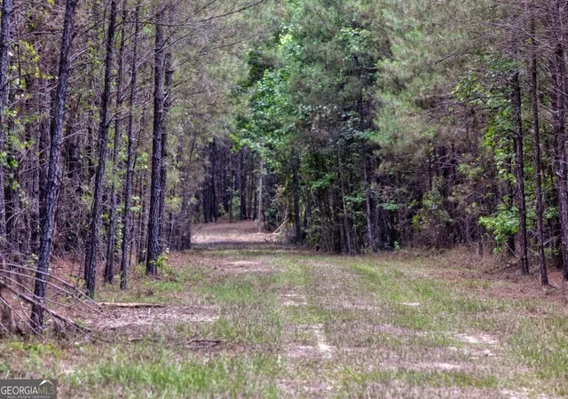 47th image of 0 Hwy 204, Pembroke, GA 31321 | MLS# 10786364