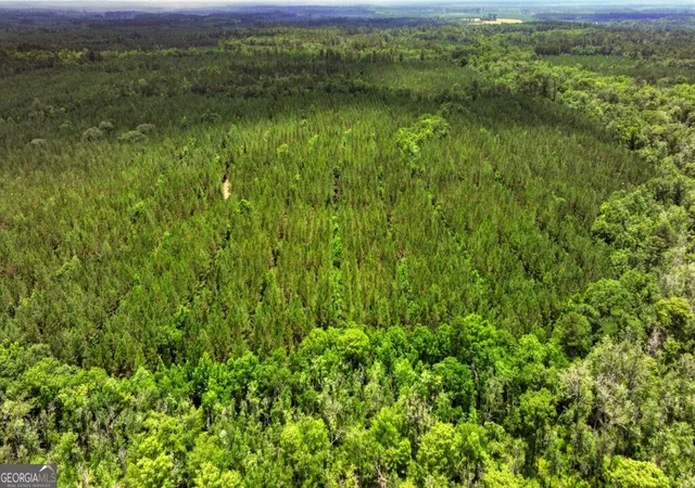 4th image of 0 Hwy 204 & Carlos Cowart Rd, Pembroke, GA 31321 | MLS# 10786364