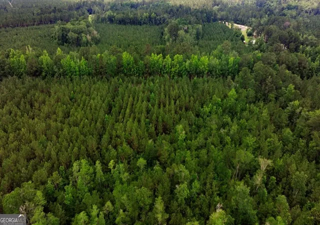 5th image of 0 Hwy 204 & Carlos Cowart Rd, Pembroke, GA 31321 | MLS# 10786364