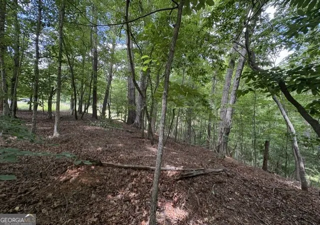 1st image of Lot 16 Calhoun Road, Dahlonega, GA 30533 | MLS# 10813965