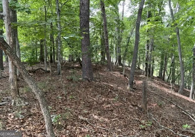 Photo 2 of Sale Pending at Lot 16 Calhoun Rd, Dahlonega, GA 30533 | MLS# 10813965 | Listing updated on 2026-09-11