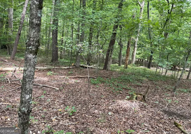 5th image of Lot 16 Calhoun Road, Dahlonega, GA 30533 | MLS# 10813965