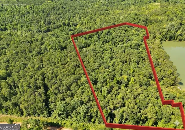 Homes for sale in Clayton, AL | 0 Indian Lake Road #LOTS 98-100, Clayton, AL 36016 | MLS# 10792279