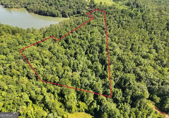 Homes for sale in Clayton, AL | 0 Indian Lake Road #LOTS 98-100, Clayton, AL 36016 | MLS# 10792279