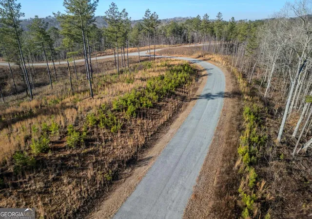 Homes for sale in Talking Rock, GA | Lot 178 Vista Creek Dr #178, Talking Rock, GA 30175 | MLS# 10668764
