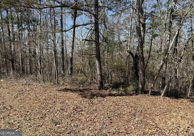 Homes for sale in Wedowee, AL | 0 Muffit Dr, Wedowee, AL 36278 | MLS# 10722831