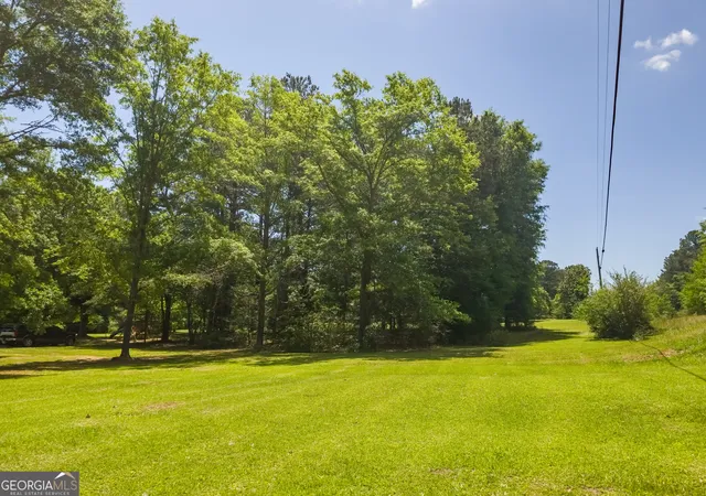 Homes for sale in Greenville, GA | 14196 Roosevelt Hwy, Greenville, GA 30222 | MLS# 10764850
