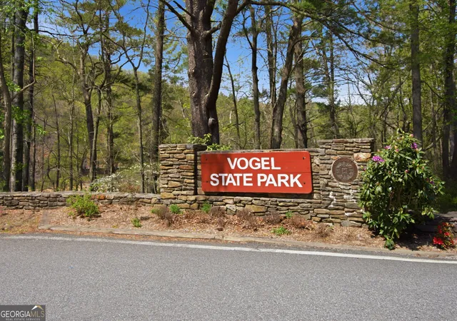 44th image of 15 Salmon Rd, Blairsville, GA 30512 | MLS# 10734725