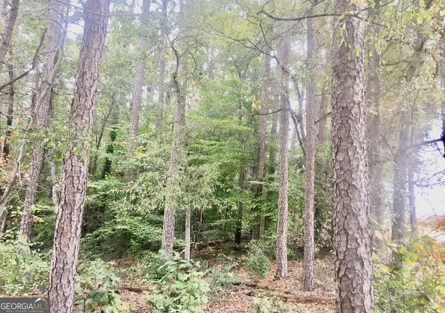 Photo 2 of Land for sale at 0 Hwy 17 Alt, Toccoa, GA 30577 | MLS# 10836472 | Listing updated on 2026-09-14