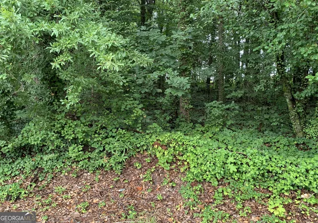 Photo 3 of Land for sale at 0 Hwy 17 Alt, Toccoa, GA 30577 | MLS# 10836472 | Listing updated on 2026-09-14