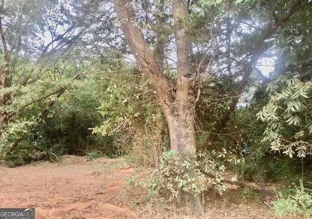 Photo 5 of Land for sale at 0 Hwy 17 Alt, Toccoa, GA 30577 | MLS# 10836472 | Listing updated on 2026-09-14