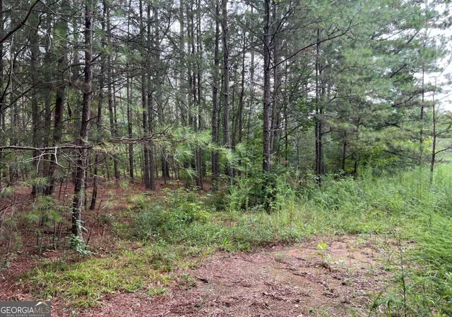 Photo 3 of Sale Pending at 00 Timberwood Rd Nw #2, White, GA 30184 | MLS# 10582836 | Listing updated on 2025-10-28