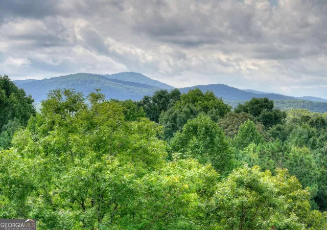 2nd image of 214 Ethan Wilson Wy, Morganton, GA 30560 | MLS# 10822808