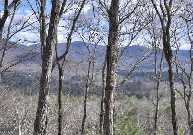 2nd image of Lt 14r Tanager Trl, Ellijay, GA 30536 | MLS# 10714943