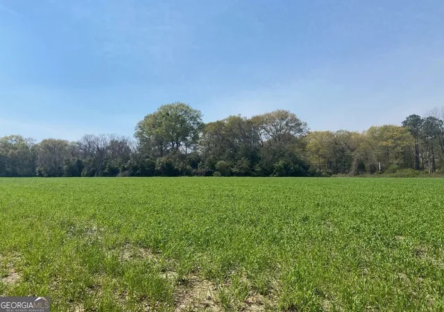 2nd image of 0 Moseley Rd, Byron, GA 31008 | MLS# 10700962