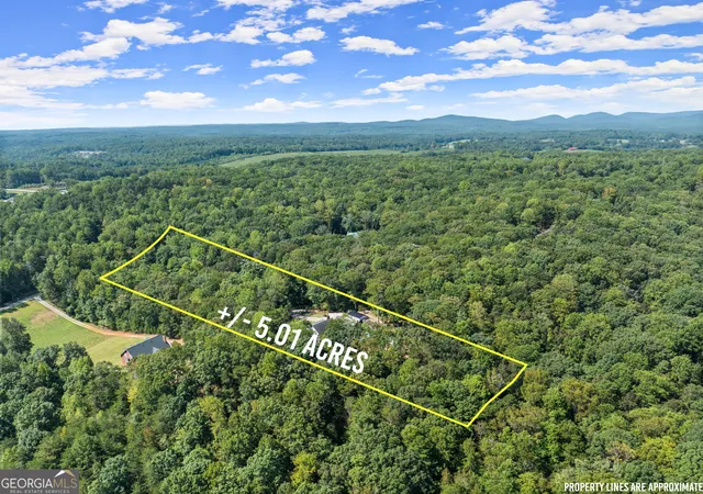 145th image of 255 Reece Rd, Dawsonville, GA 30534 | MLS# 10737598