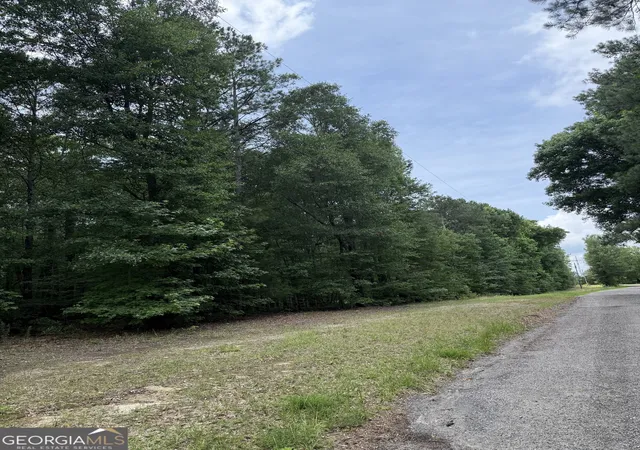 Photo 3 of Land for sale at 148 Hillview Rd, Hampton, GA 30228 | MLS# 10783362 | Listing updated on 2026-07-13