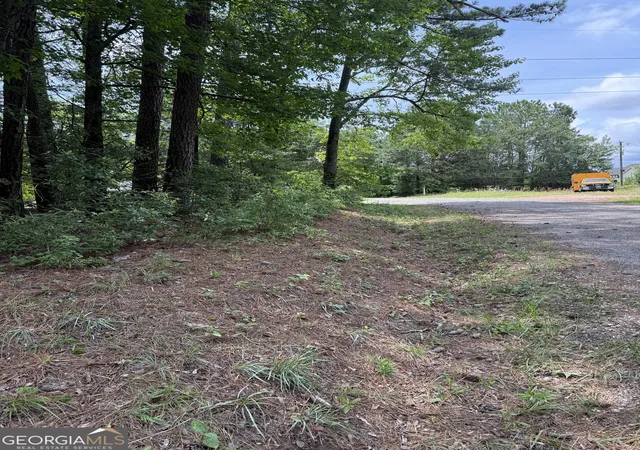 Photo 4 of Land for sale at 148 Hillview Rd, Hampton, GA 30228 | MLS# 10783362 | Listing updated on 2026-07-13