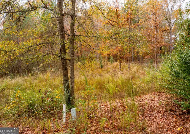 Photo 3 of Land for sale at 301 River Pl Dr Nw, Calhoun, GA 30701 | MLS# 10825470 | Listing updated on 2026-10-08