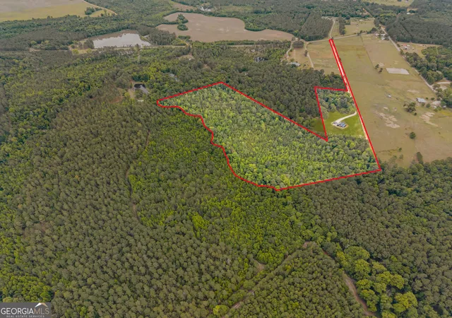 Homes for sale in Sylvania, GA | 2973 Buttermilk Rd, Sylvania, GA 30467 | MLS# 10764545