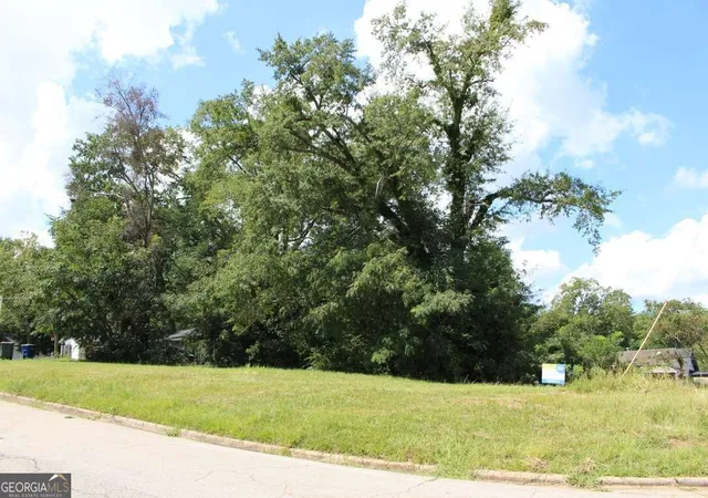 Photo 4 of Land for sale at 451 Jefferson St, Griffin, GA 30223 | MLS# 10836726 | Listing updated on 2026-09-14
