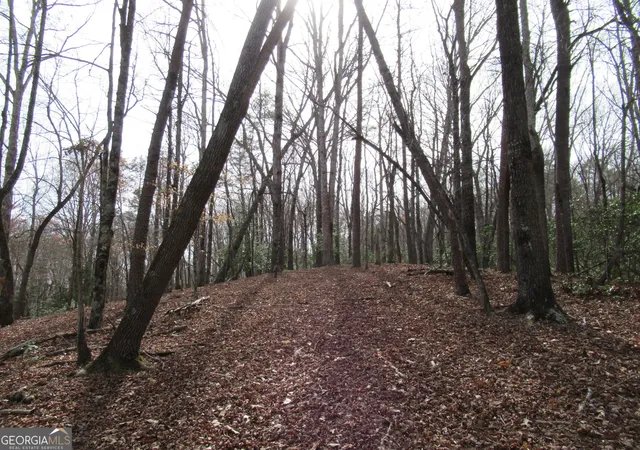 Photo 2 of Land for sale at 0 Long Branch Rd, Dahlonega, GA 30533 | MLS# 10271266 | Listing updated on 2026-09-20