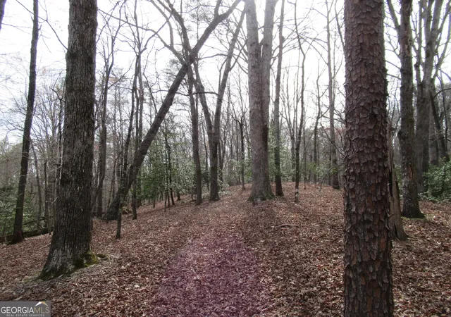 Photo 3 of Land for sale at 0 Long Branch Rd, Dahlonega, GA 30533 | MLS# 10271266 | Listing updated on 2026-09-20