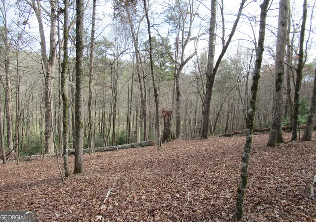 Photo 3 of Land for sale at 0 Long Branch Rd, Dahlonega, GA 30533 | MLS# 10271266 | Listing updated on 2026-09-20