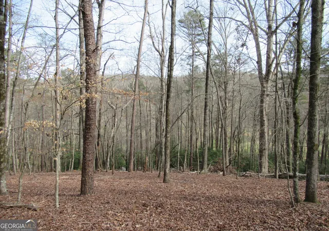 Photo 4 of Land for sale at 0 Long Branch Rd, Dahlonega, GA 30533 | MLS# 10271266 | Listing updated on 2026-09-20