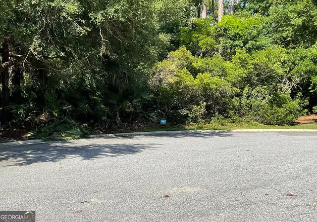 Photo 3 of Land for sale at 465 Millers Branch Dr, Saint Marys, GA 31558 | MLS# 10767603 | Listing updated on 2026-08-15