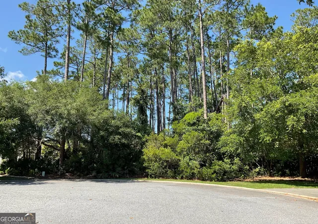 Photo 3 of Land for sale at 465 Millers Branch Dr, Saint Marys, GA 31558 | MLS# 10767603 | Listing updated on 2026-08-15