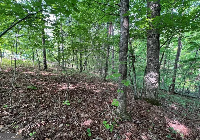 Photo 1 of Land for sale at 9 + Acre Leonard Ln, Murphy, NC 28906 | MLS# 10810731 | Listing updated on 2026-08-07