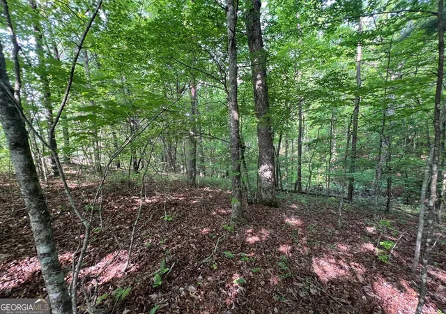 Photo 2 of Land for sale at 9 + Acre Leonard Ln, Murphy, NC 28906 | MLS# 10810731 | Listing updated on 2026-08-07
