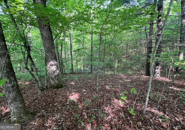 Photo 3 of Land for sale at 9 + Acre Leonard Ln, Murphy, NC 28906 | MLS# 10810731 | Listing updated on 2026-08-07