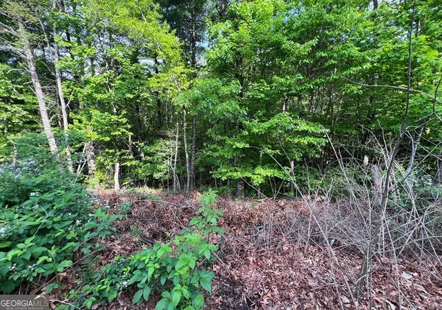 Photo 4 of Land for sale at 9 + Acre Leonard Ln, Murphy, NC 28906 | MLS# 10810731 | Listing updated on 2026-08-07