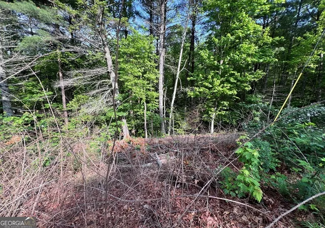 Photo 5 of Land for sale at 9 + Acre Leonard Ln, Murphy, NC 28906 | MLS# 10810731 | Listing updated on 2026-08-07