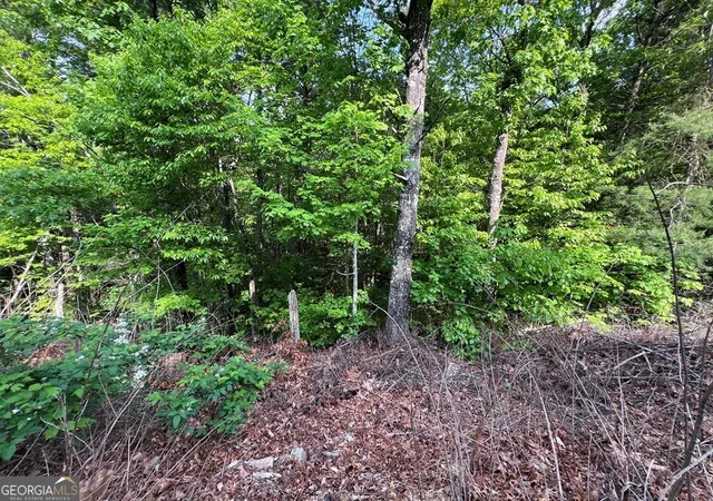 Photo 7 of Land for sale at 9 + Acre Leonard Ln, Murphy, NC 28906 | MLS# 10810731 | Listing updated on 2026-08-07