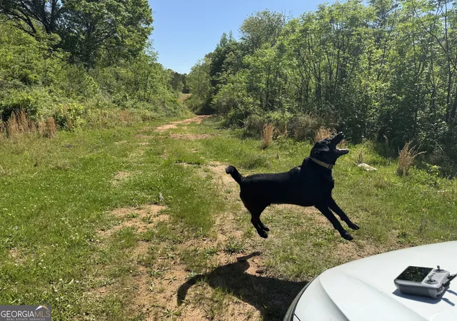Photo 1 of Land for sale at 0 Us 53 Hwy, Statham, GA 30666 | MLS# 10376334 | Listing updated on 2026-03-09