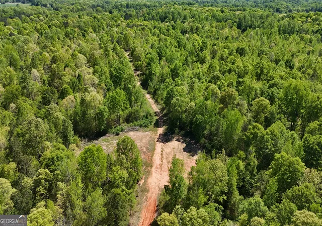 Photo 2 of Land for sale at 0 Us 53 Hwy, Statham, GA 30666 | MLS# 10376334 | Listing updated on 2026-03-09