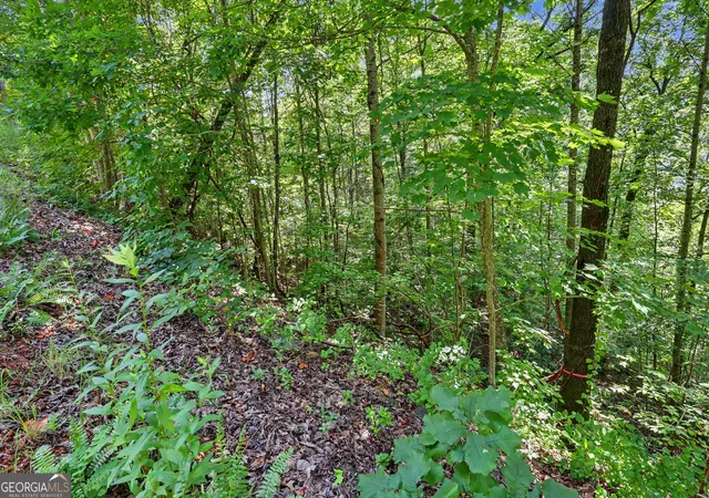 Photo 3 of Land for sale at 0 Waterfall Dr 5D, Clayton, GA 30525 | MLS# 10826025 | Listing updated on 2026-08-29